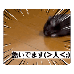 mar_20240525005055