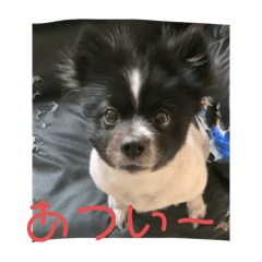 Rui_20240524175838