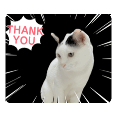 Kanjanong K._20240525162600