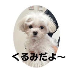 RABUKO_20240524204840