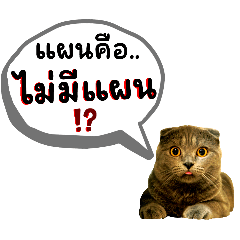 CAT.Admin daily admin words1