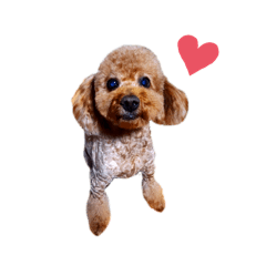 oinusama-Choco_20240525194545