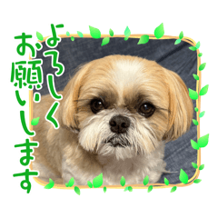 Leon family_20240525165926