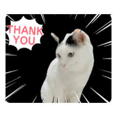 PalangKongkwanRangwalBanlung-I