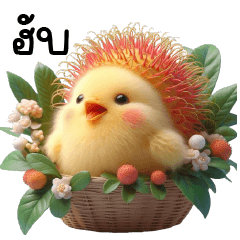 Chicken Rambutan So Cute