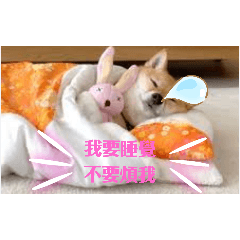 柴柴（超實用）貼圖 第一彈