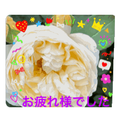 YOKKO_20240526174822