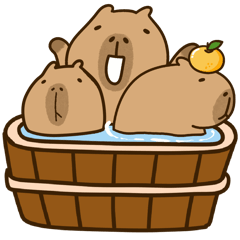 Kapi Capybara 20 - No Text Combination