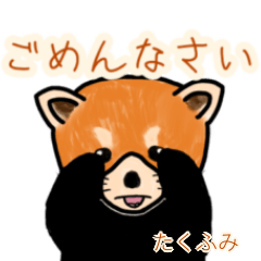 Takufumi's lesser panda
