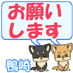 Kamozaki's letters Chihuahua2