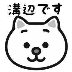 Mizobe white cats stickers
