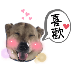 呆喜歡了