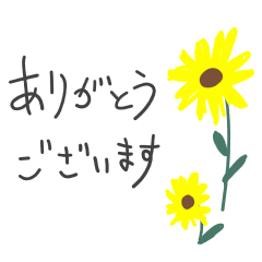 flowers with a lot thank you in japanese