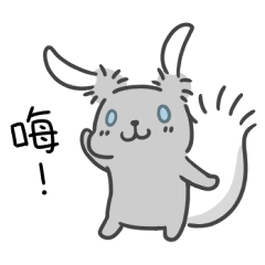 Kawai Rabbit(Unknown Variety )
