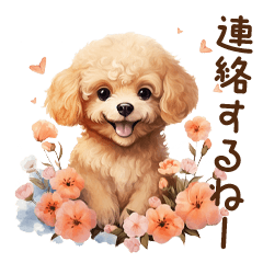 Cute Puppy | Toy poodle | flower