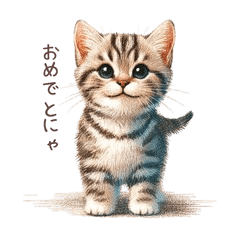 Cute Cute Cat Greetings