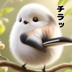 A polite long-tailed tit