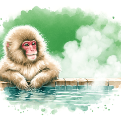 Hot Spring Monkey12