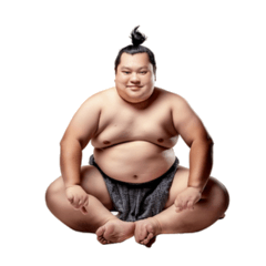 Sumo Wrestler: Strength & Smiles!