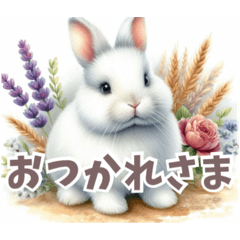 ウサギのポジティブ&挨拶メッセージ