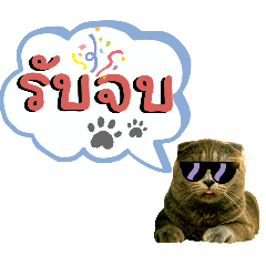 CAT.Admin daily admin words2