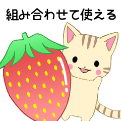 Ruki-cat-arrange-A