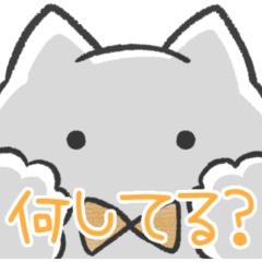 orange color sticker(cat)(status report)