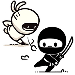 Black Ninja and White Ninja