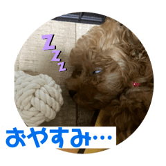 merci and life_20240525232542