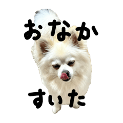 emutyan_20240526040636