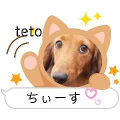 teto_20240526152856