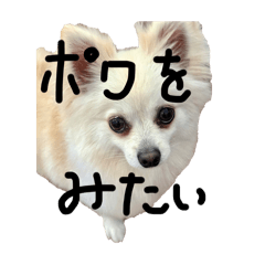 emutyan_20240526150846