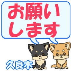 Kuraki's letters Chihuahua2