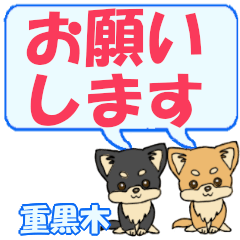 Shigekuroki's letters Chihuahua2
