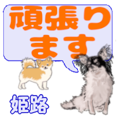 Himeji's letters Chihuahua