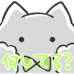 light green sticker(cat)(status report)