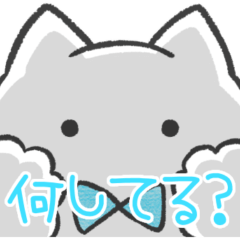 light blue sticker(cat)(status report)