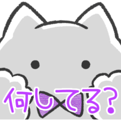 purple color sticker(cat)(status report)