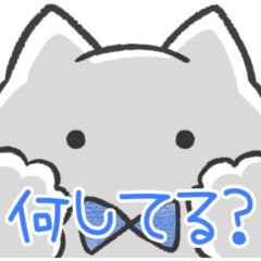blue color sticker(cat)(status report)