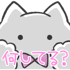 pink color sticker(cat)(status report)