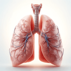 Express emotions with realistic lung