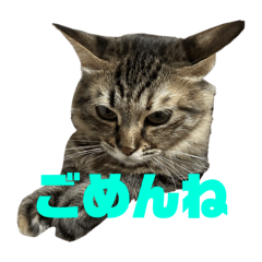 yuitan_20240527010156