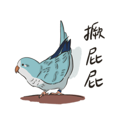 藍和尚鸚鵡-莎莎雞日常