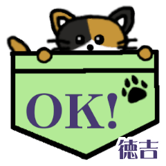 Tokuyoshi's Pocket Cat's