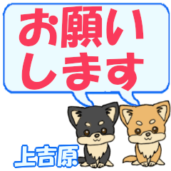 Kamiyoshihara's letters Chihuahua2