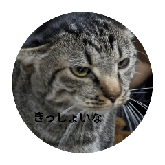 iiiiiii_20240526222411