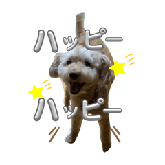 chisa_20240527113504