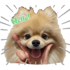 moamama_20240527160033