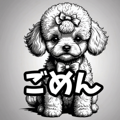 Cute Toy Poodle 2024-2025