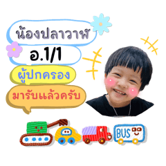Babywhale_20240528105146